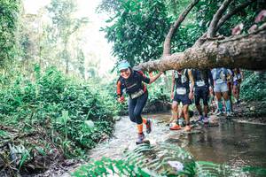 BIB: 
                            <button type="button" onclick="openModal(25457135)" class="btn btn-primary btn-sm float-right btn-popup" data-toggle="modal" data-target=".modal-high-quality">
                        <i class="fas fa-shopping-cart"></i> Add to Cart
                    </button>
                                            <button type="button" onclick="isThisMe(25457135, true)" class="btn btn-success btn-sm float-right btn-popup btn-isme hidden" data-toggle="tooltip" data-placement="bottom" title="นี่คือรูปของคุณใช่ไหม คลิกที่นี่เพื่อเอาเข้าอัลบั้ม">
                        <i class="fas fa-plus"></i> Add to album
                    </button>
                    <button type="button" onclick="isThisMe(25457135, false)" class="btn btn-warning btn-sm float-right btn-popup btn-isnotme hidden">
                        <i class="fas fa-ban"></i> Remove from album
                    </button>